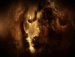 Lion abstract