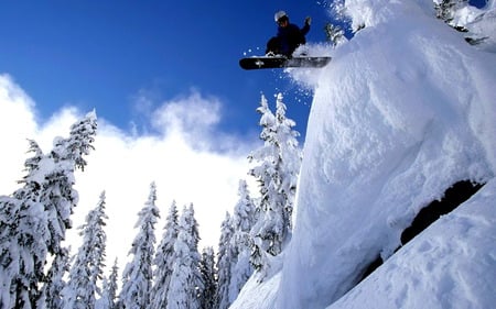 Snowboarding Photo - sports, trees, winter, nature, extreme, white mountain, snow