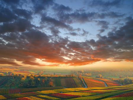 Beautiful Landscape - nice, sunrises, plantation, valley, trees, sun, mountains, mesa, amazing, cool, evening, clouds, table, orange, sunsets, garden, fields, landscape, plants, red, blue, beautiful, colors, awesome, flowers