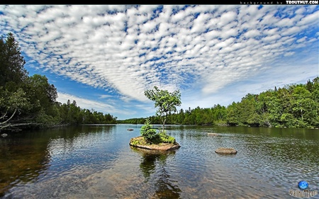 Scenery View - trees, clouds, river, water, island