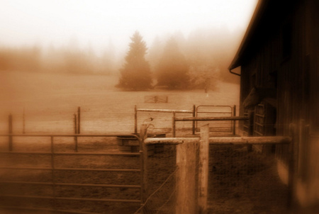 sepia dawn - mist, sepia, ranch, field, morning