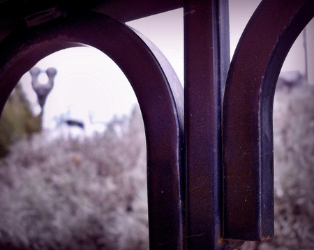 iron, light - bokeh, iron, sage, purple