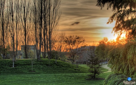 Beautiful Scene - nature, trees, green, skies, sunset, grass, sunrise