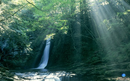 Waterfall With The Sun Rays - nature, forest, sun, river, water, green, waterfall, sun rays