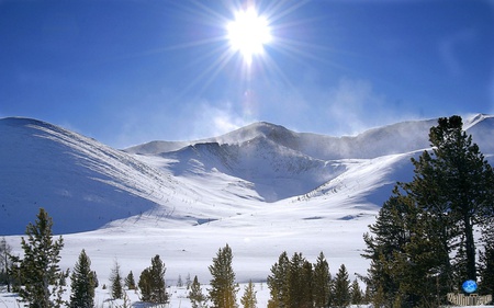 Winter Landscape - winter, nature