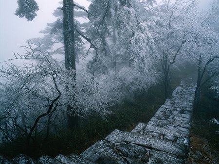 amazing_winter_scenery_in_china - winter, amazing, scenery-in-china