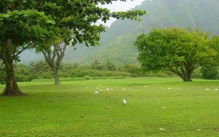 green_park - green, park