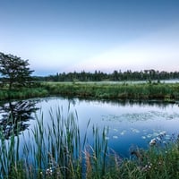 mirror glass pond