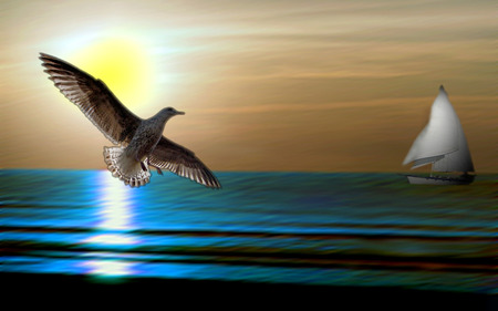 GOLDEN SUNRISE - bird, blue, ship, ocean, rise, sailing, painting, seagull, golden, art, sun