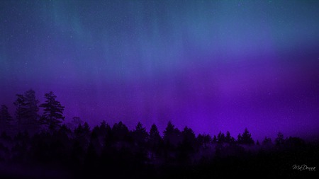 Skys Drama - sky, persona, borealis, colors, aurora, widescreen