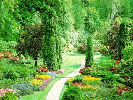 Beautiful garden - garden, trees, green