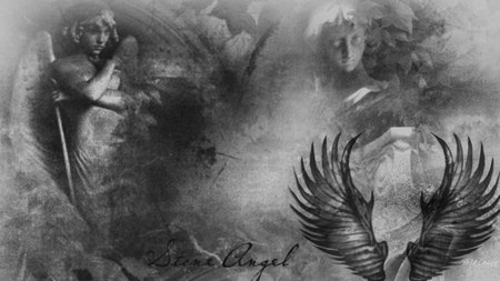 Stone Angel - abstract, collage, dark, wings, angels, widescreen