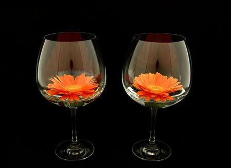 flowers - black, flowers, orange, glass