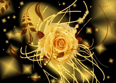 Glowing Abstract Floral - abstract, star, yellow, gold, flower, dark, black, nature, rose, 3d