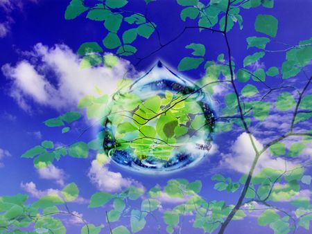 Backgrounds Windows 7   Drop .jpg - sky, tree, waterdrop, clouds