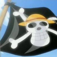 Straw Hats Flag