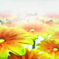 Vista Desktop flower themes. jpg