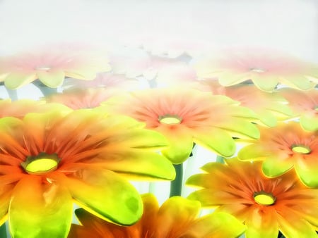 Vista Desktop flower themes. jpg - flowers, popup, yeloow orange