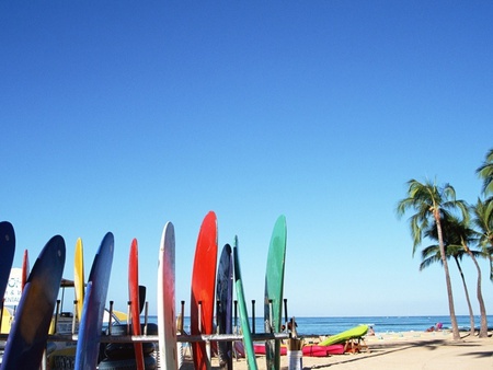 water ski board - rd, surfboard, water, beach, blue, sand, sky, palm trees, tree, colors, green