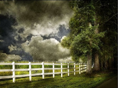 From the sideliness - sideliness, fence, tree