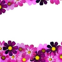 Flowers frame