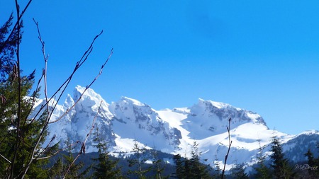 South West side of Mount Baker - sky, trees, mountain, snow, winter, widescreen, washington