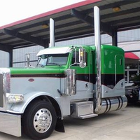 2008 PETERBILT 389