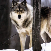 You Lookin At Me . . . .