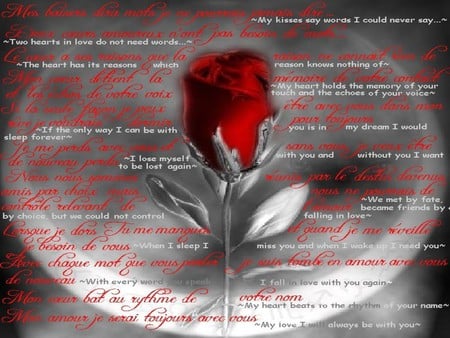 ROSE ALWAYS - silver, red, stem, rose, words