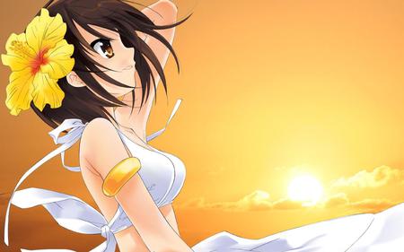 cute anime girl - sunflower, girl, hot, anime, sweet, anime girl, lovely, cute