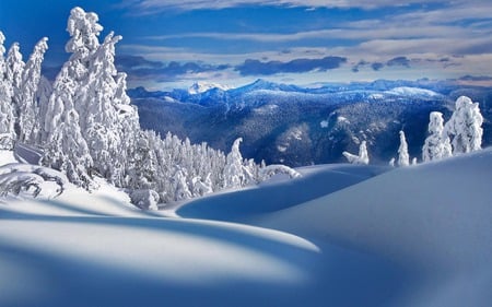 TOP 5 WINTER WALLPAPERS..(2) - great, winter, wallpaper