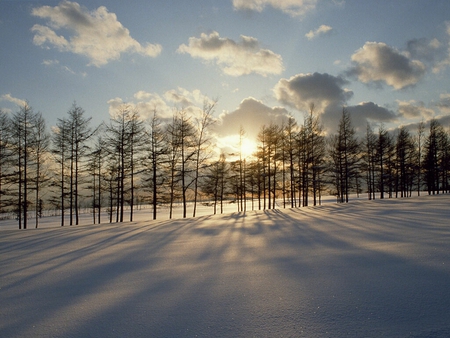 WINTER WALLPAPER - great, winter, wallpaper