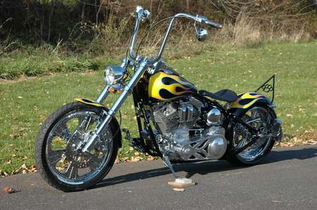 Ultima Softail.............