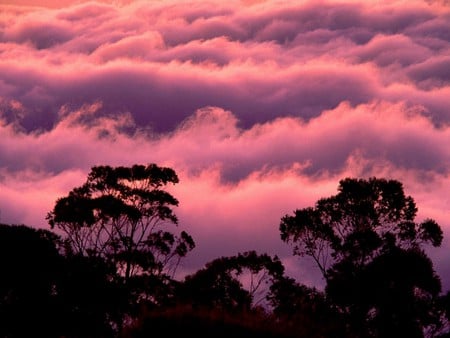 Haleakala National Park, Maui, Hawaii