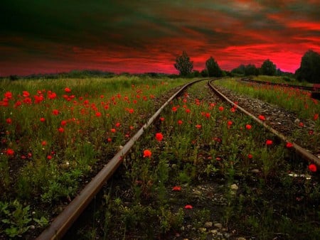 Red Clouds - beautiful, red clouds, view