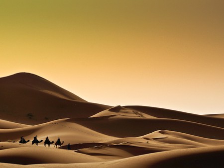 Beauty of Desert - picture, beauty of desert, cool