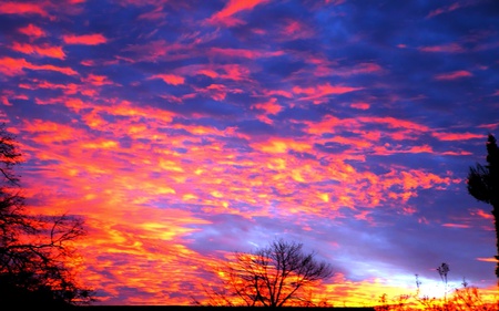 Its Hot For Me - sky, ember, amazing, trees, blue, clouds