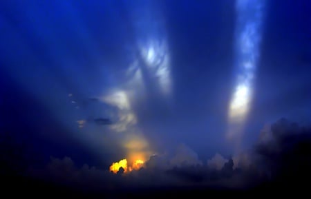 The Show Begin - ray, light, tree, amazing, blue