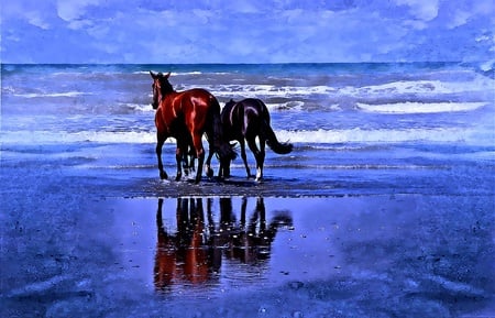 Loving Couple At Beaches - horses, blue, beaches, ocean, reflection, wave