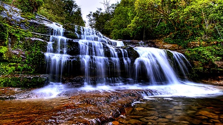 The Living Waterfall - beauty, forest, waterfall, rocks