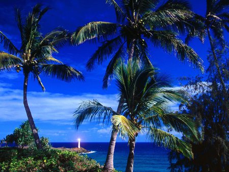 Beautiful Scene - tropical, lighthouse, green, cloud, palm trees, ocean, blues