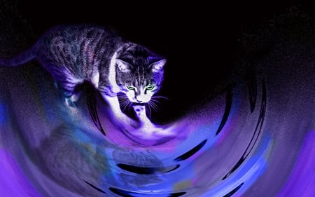 Dissolving cat - 3d, cats