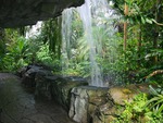 Tropical falls pictures. jpg