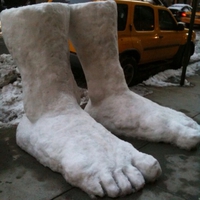 Another Two Feet Of Snow