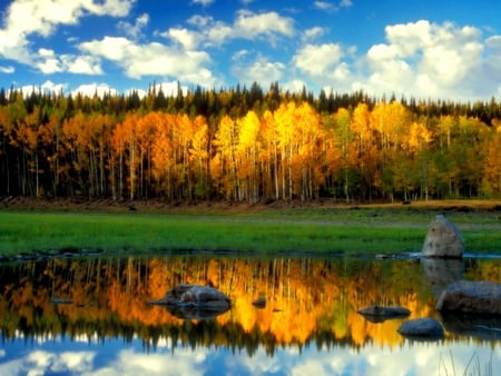 Mirror of the Forest - yellow, amazing, sunsets, leaves, forests, mirror, red, seasons, nice, sunrises, trees, beautiful, photography, gold, morning, cool, orange, nature, awesome, autumn, leaf