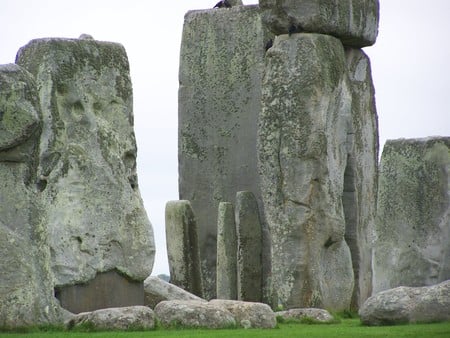 Stonehenge(+birds) - magic place