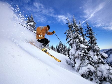 Skiing - sport, photography, skiing