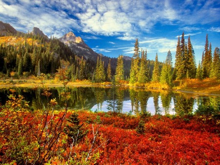 Humor de otoÃ±o - sky, lake, autumn, trees, autumn feel