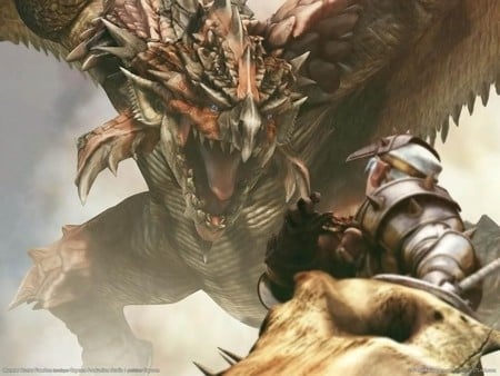 Monsterhunter freedom - monsterhunter, graphics, hunter, dragon, dark art, dark, rpg