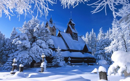 A wonderful Day (WDS) - trees, winter, frosted, blue, photography, snow, wds, light, widescreen, cold, peaceful, sun